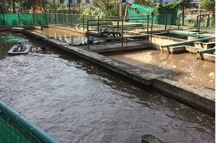 城鎮污水除氮除磷