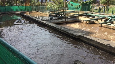 城鎮污水除氮除磷